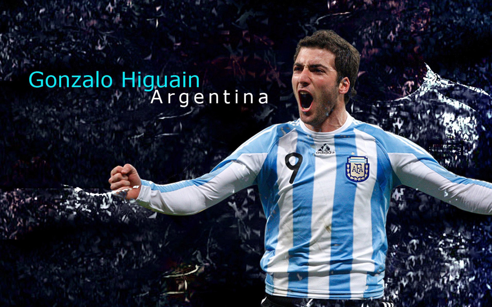 张伟丽将挑战排名第三的对手，张伟丽最强对手是谁